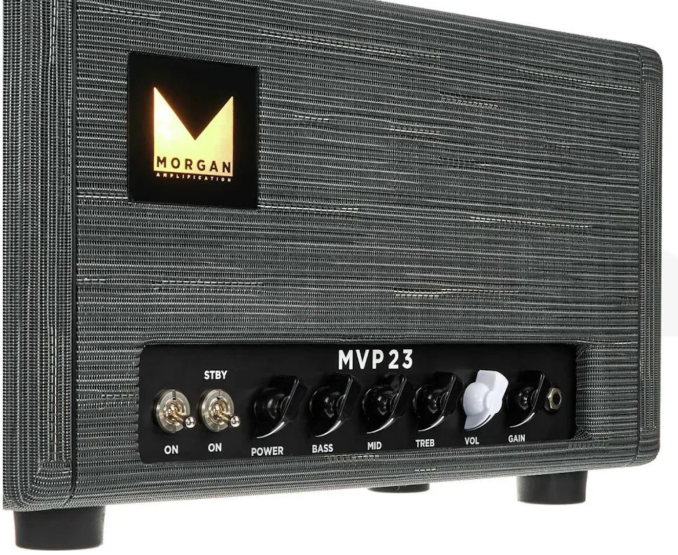 Morgan Amplification MVP23 Head Driftwood
