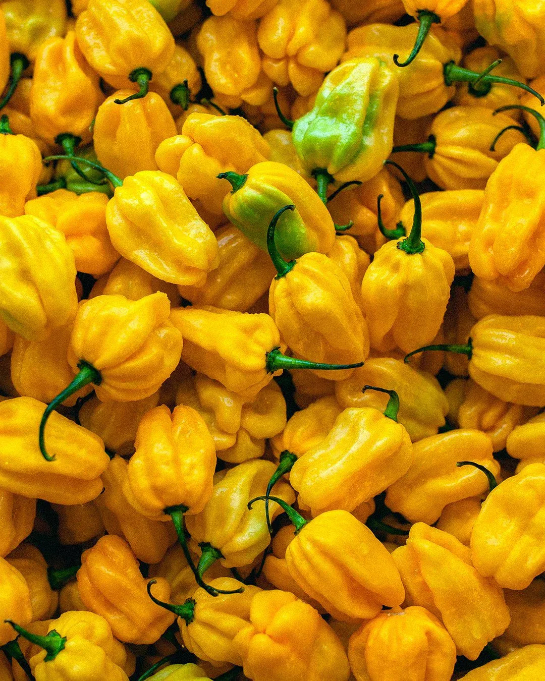 Cevichán Het Sås Cevichán Original Gul Habanerosås Amarillo tgt11