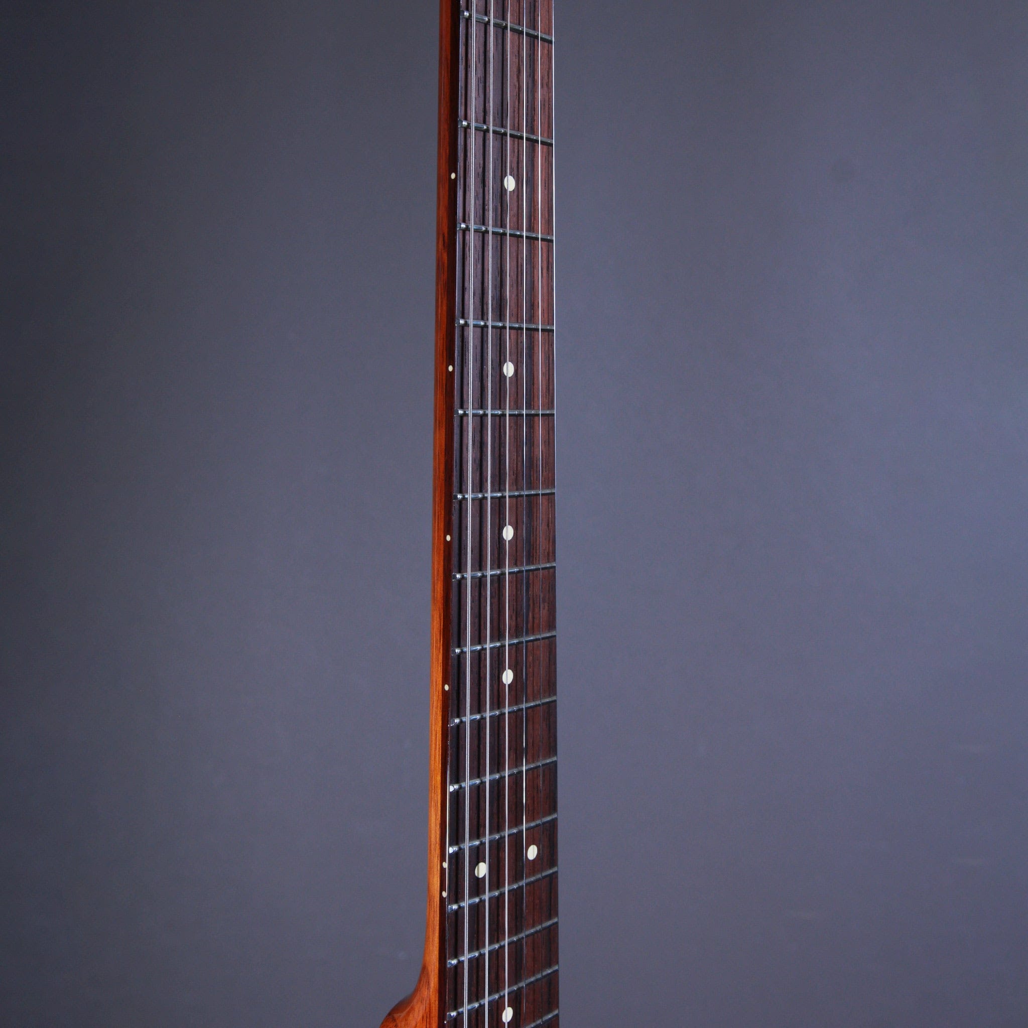 Christensen Guitars Elgitarr Christensen Guitar Electric Staples tgt11