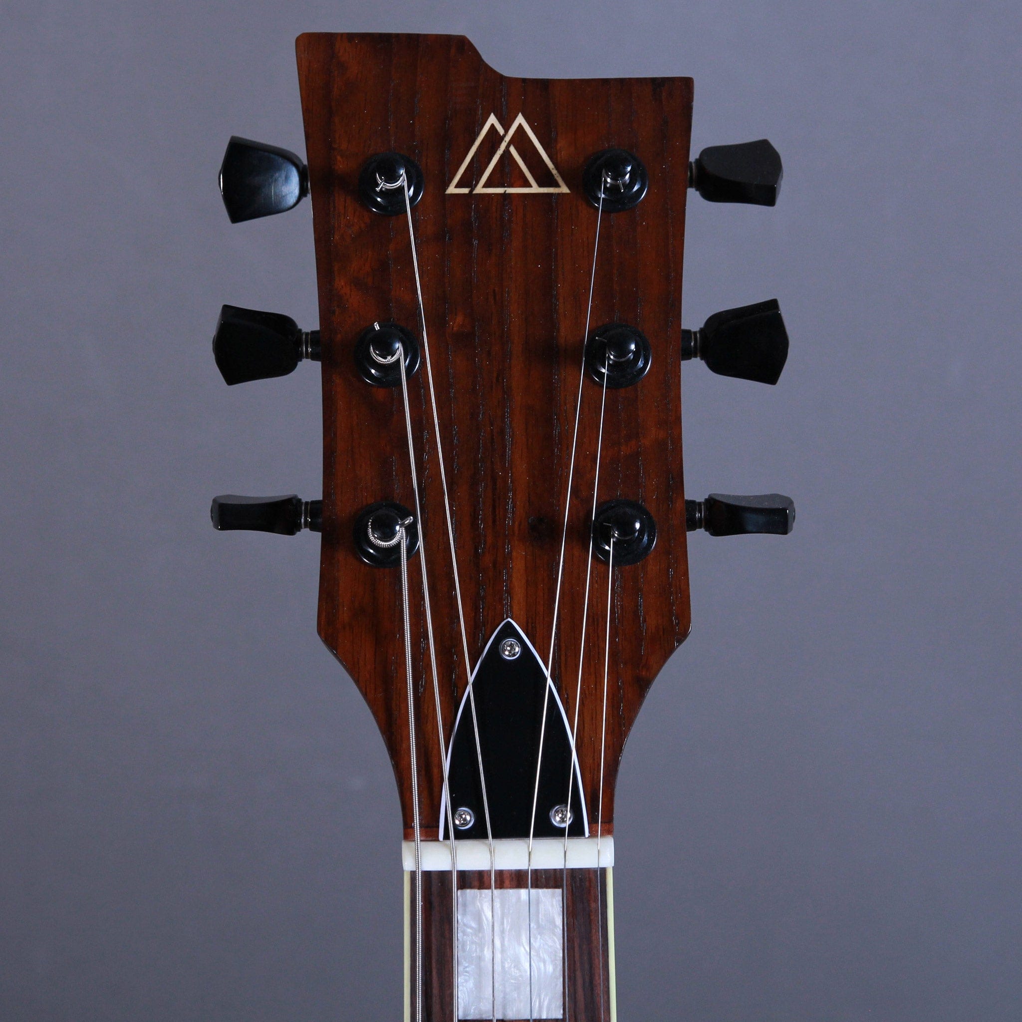 Myr Instruments Elgitarr Myr Instruments Storspoven/The Curlew Barn Door Special tgt11