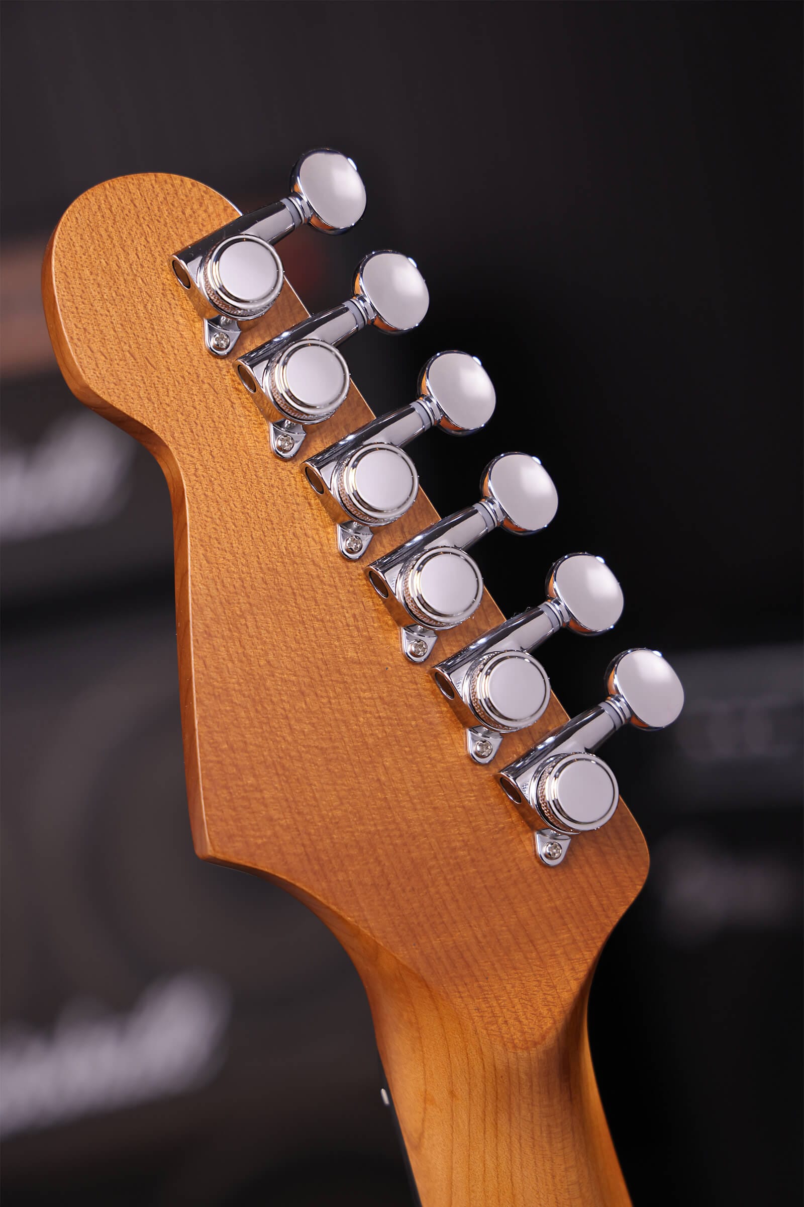 Patina Guitars Elgitarr Patina Guitars PT-6 Sea F Green Relic tgt11
