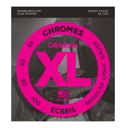 DADDARIO ECB81S Chromes Flat Wounds 45-100 Short Scale