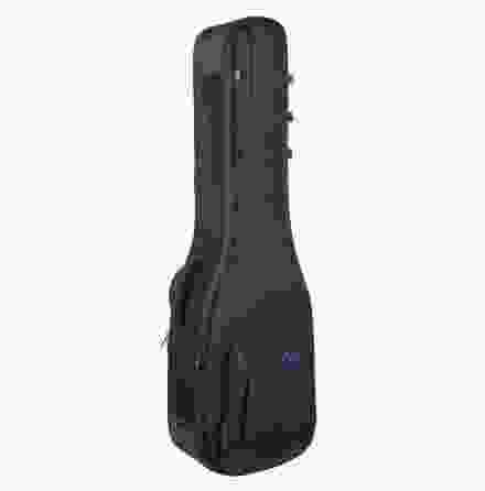 Reunion Blues Continental Expedition Double Electric Bass Guitar Case