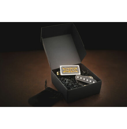 Gramel Gold & Grit tele set HB Gold Foil & Broadcaster Bridge