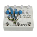 Alexander Pedal's Forget Me Not
