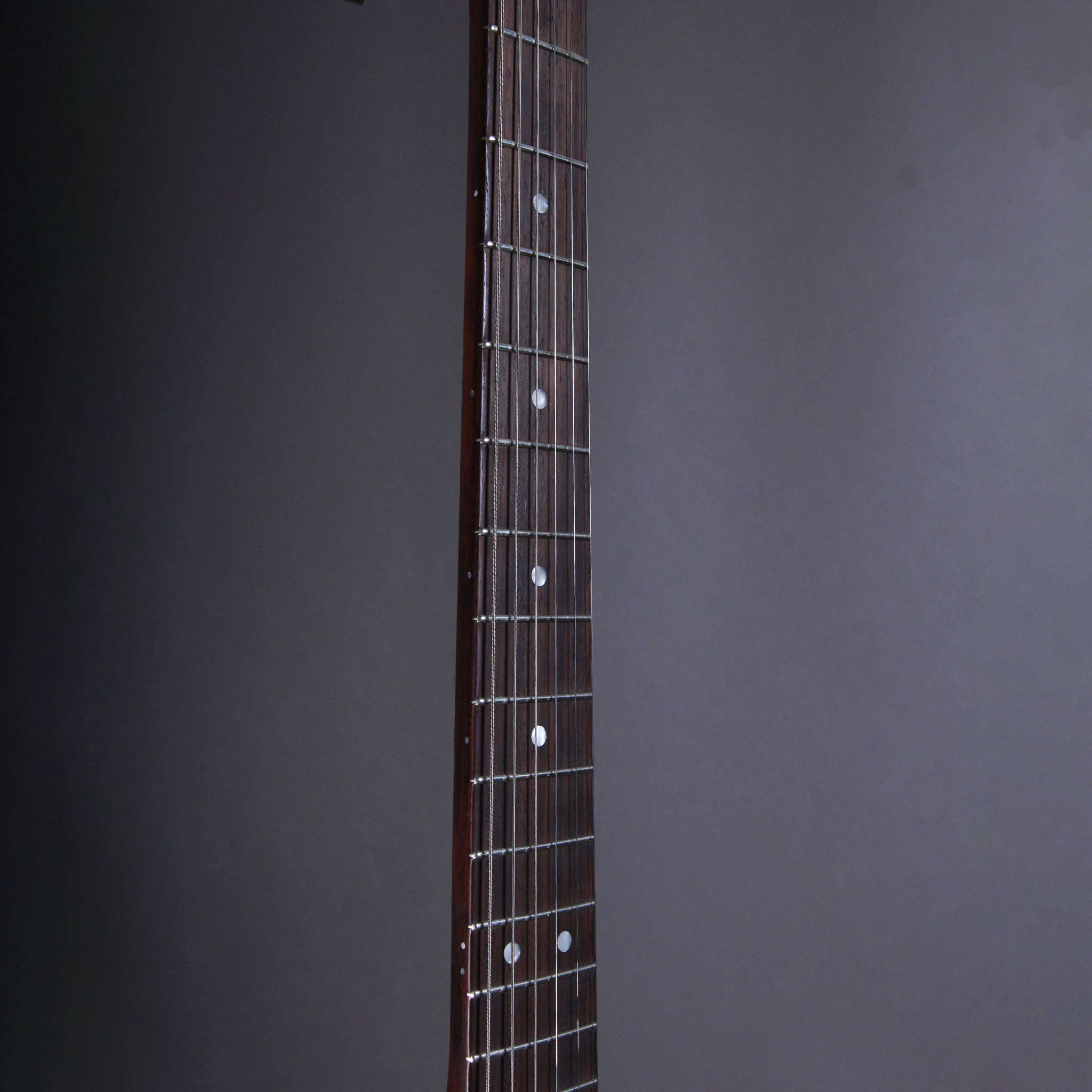 Belle Guitars TEG Custom Sonic Blue over Paisley