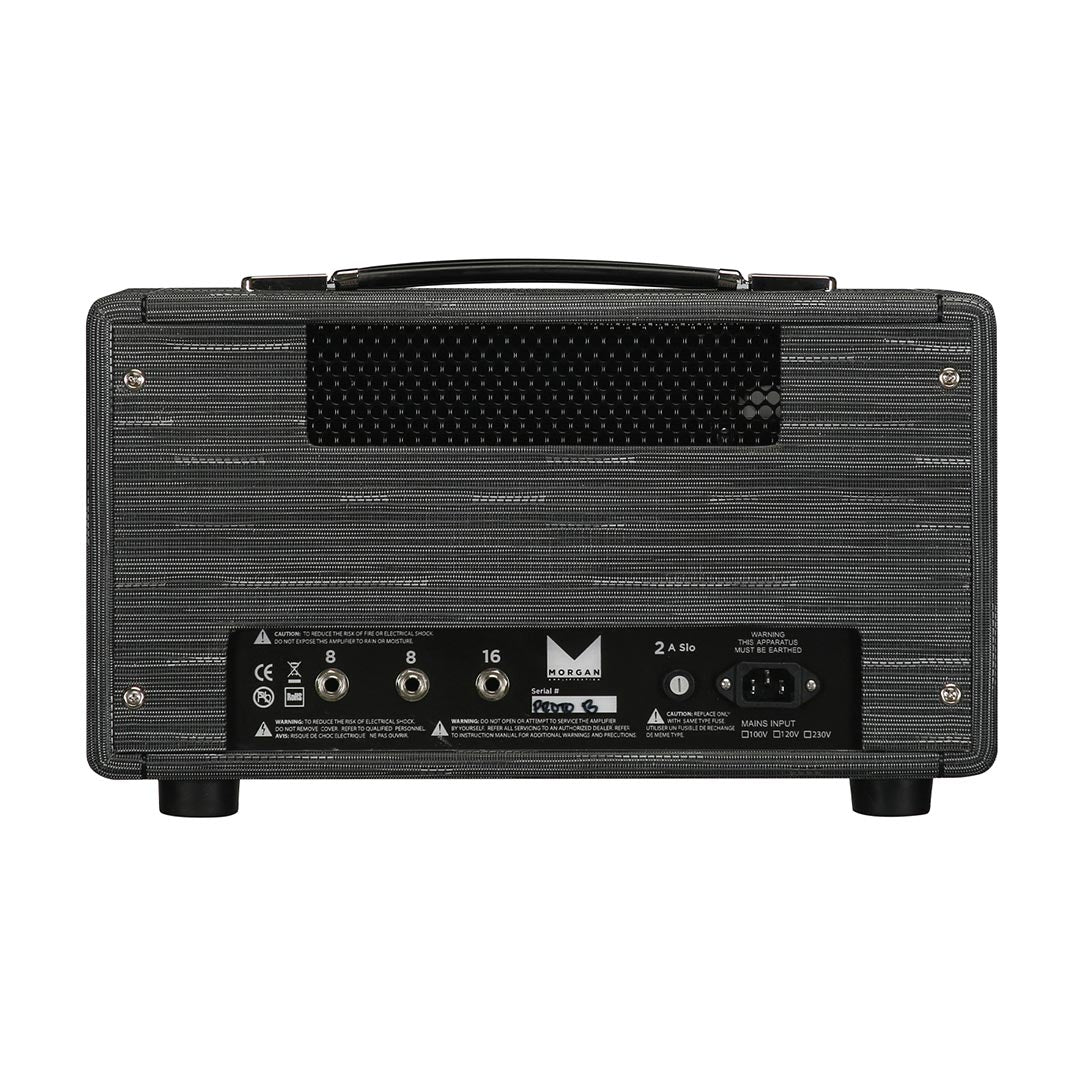 Morgan Amplification MVP23 Head Twilight