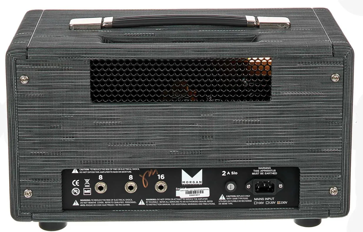 Morgan Amplification MVP23 Head Driftwood