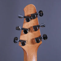 Powers Electric A-Type Solana Sunset CamTail