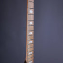 Powers Electric A-Type Solana Sunset CamTail