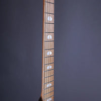 Powers Electric A-Type Solana Sunset CamTail