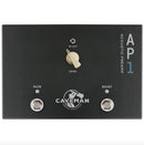 Caveman Audio AP1 Acoustic Preamp