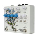 Alexander Pedal's Forget Me Not