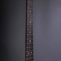 Belle Guitars Elgitarr Belle Guitars TEG Custom Sonic Blue over Paisley tgt11