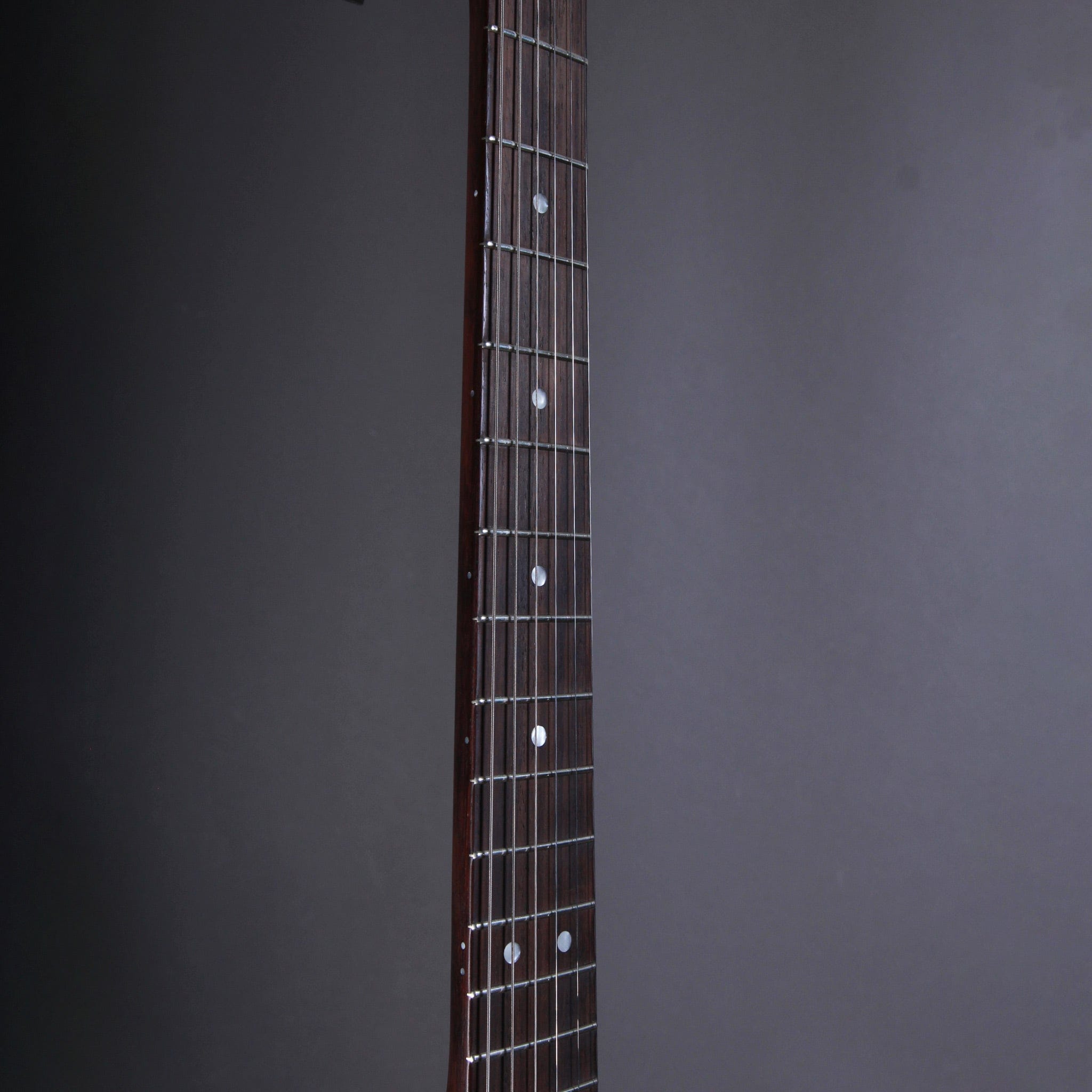 Belle Guitars Elgitarr Belle Guitars TEG Custom Sonic Blue over Paisley tgt11