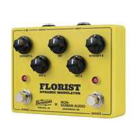 Benson Amps Delayer Benson / Non-Human Audio Florist tgt11