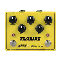Benson Amps Delayer Benson / Non-Human Audio Florist tgt11