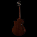 bgs 2026 Ak gitarr Hozen Guitars Blue Label #259 tgt11