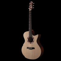 bgs 2026 Ak gitarr Hozen Guitars Blue Label #259 tgt11