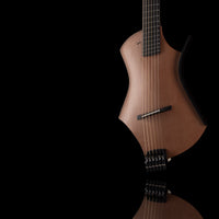 bgs 2026 Elgitarr Sankey Guitars Electric Feather tgt11
