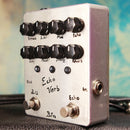 BJF Tape delay BJF Echoverb Super Deluxe Silver tgt11