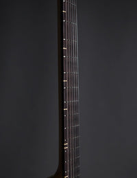 Bluebox Geetars Stränginstrument Bluebox Geetars Origin Transparent Black tgt11