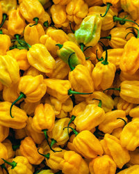 Cevichán Het Sås Cevichán Original Gul Habanerosås Amarillo tgt11