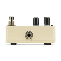 Electro Harmonix Delayer Electro Harmonix Pico Rerun tgt11