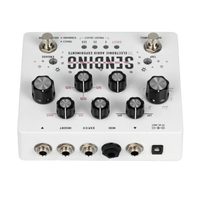 Electronic Audio Experiments Delayer Electronic Audio Experiments Sending V2 White tgt11
