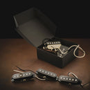 Gramel Guitars Stränginstrument Gramel Stratocaster SST set tgt11