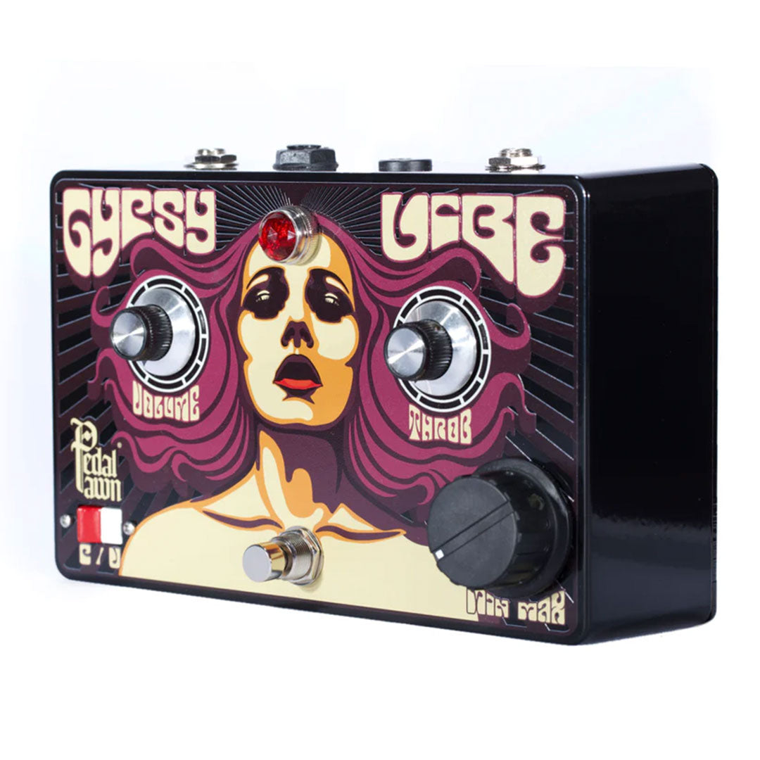 Pedal Pawn Gypsy Vibe v2 + Speed ​​Foot Controller