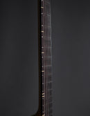 Bluebox Geetars Origin Transparent Black