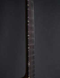 Bluebox Geetars Origin Transparent Black