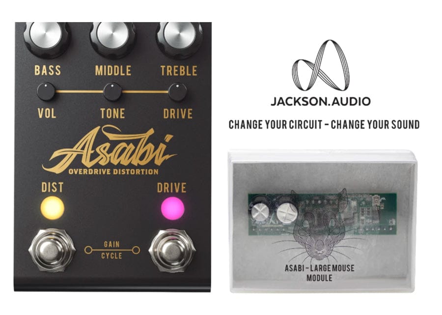 Jackson Audio Pedaler Jackson Audio Plugin LARGE MOUSE MODULE tgt11