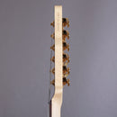 James Tyler Guitars USA Elgitarr James Tyler USA Dann Huff Black Classic #26259 tgt11
