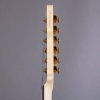 James Tyler Guitars USA Elgitarr James Tyler USA Dann Huff Black Classic #26259 tgt11