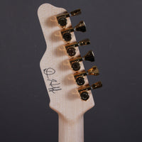 James Tyler Guitars USA Stränginstrument James Tyler USA Dann Huff Studio Elite HDX tgt11