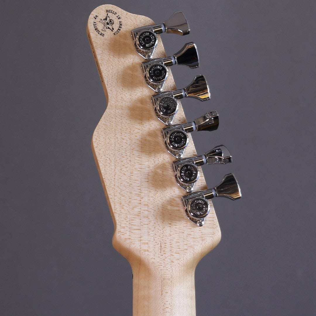 James Tyler Guitars USA Stränginstrument James Tyler USA Studio Elite Psychadelic Vomit tgt11