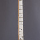 James Tyler Guitars USA Stränginstrument James Tyler USA Studio Elite Psychadelic Vomit tgt11