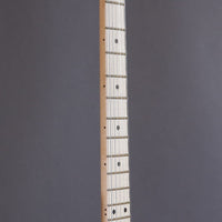 James Tyler Guitars USA Stränginstrument James Tyler USA Studio Elite Psychadelic Vomit tgt11