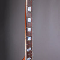 James Tyler JTG Stränginstrument James Tyler Guitars JTG M1 Egyptian Gold tgt11