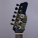James Tyler JTG Stränginstrument James Tyler Guitars JTG MK1 Chameleon tgt11