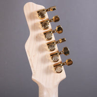 James Tyler JTG Stränginstrument James Tyler Guitars JTG MK1 Molten Iron tgt11