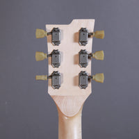 Myr Instruments Elgitarr Myr Instruments Fjällvråken tgt11