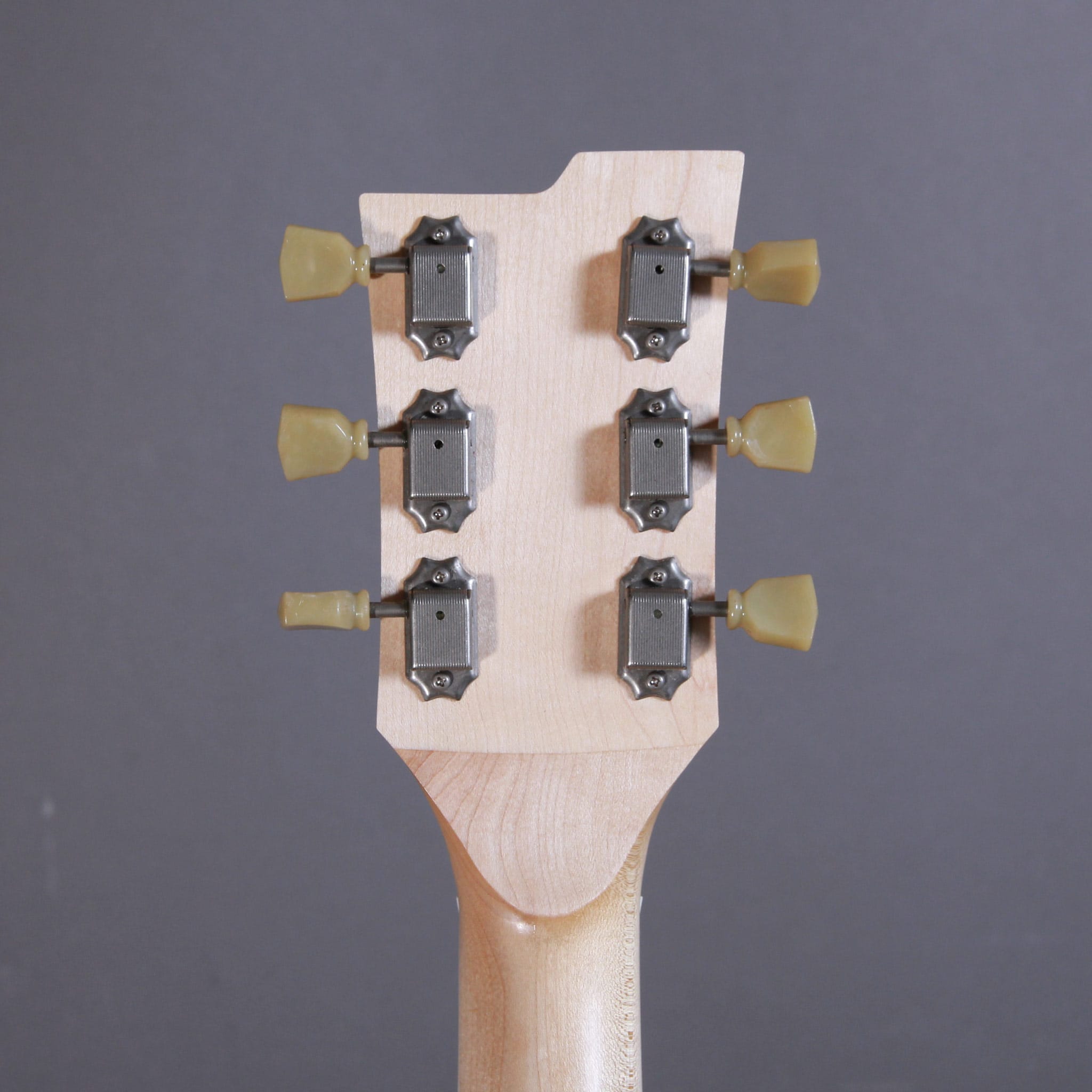 Myr Instruments Elgitarr Myr Instruments Fjällvråken tgt11