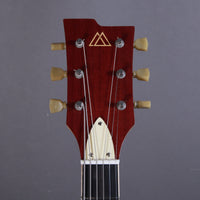 Myr Instruments Elgitarr Myr Instruments Fjällvråken tgt11