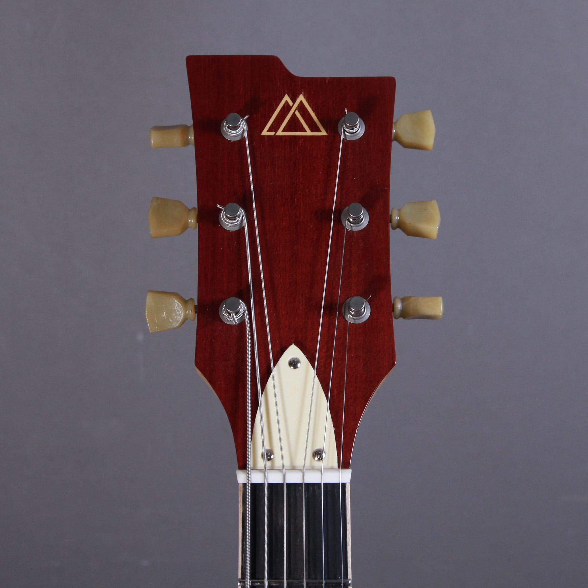 Myr Instruments Elgitarr Myr Instruments Fjällvråken tgt11