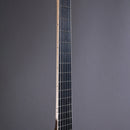 Myr Instruments Elgitarr Myr Instruments Fjällvråken tgt11