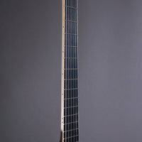 Myr Instruments Elgitarr Myr Instruments Fjällvråken tgt11