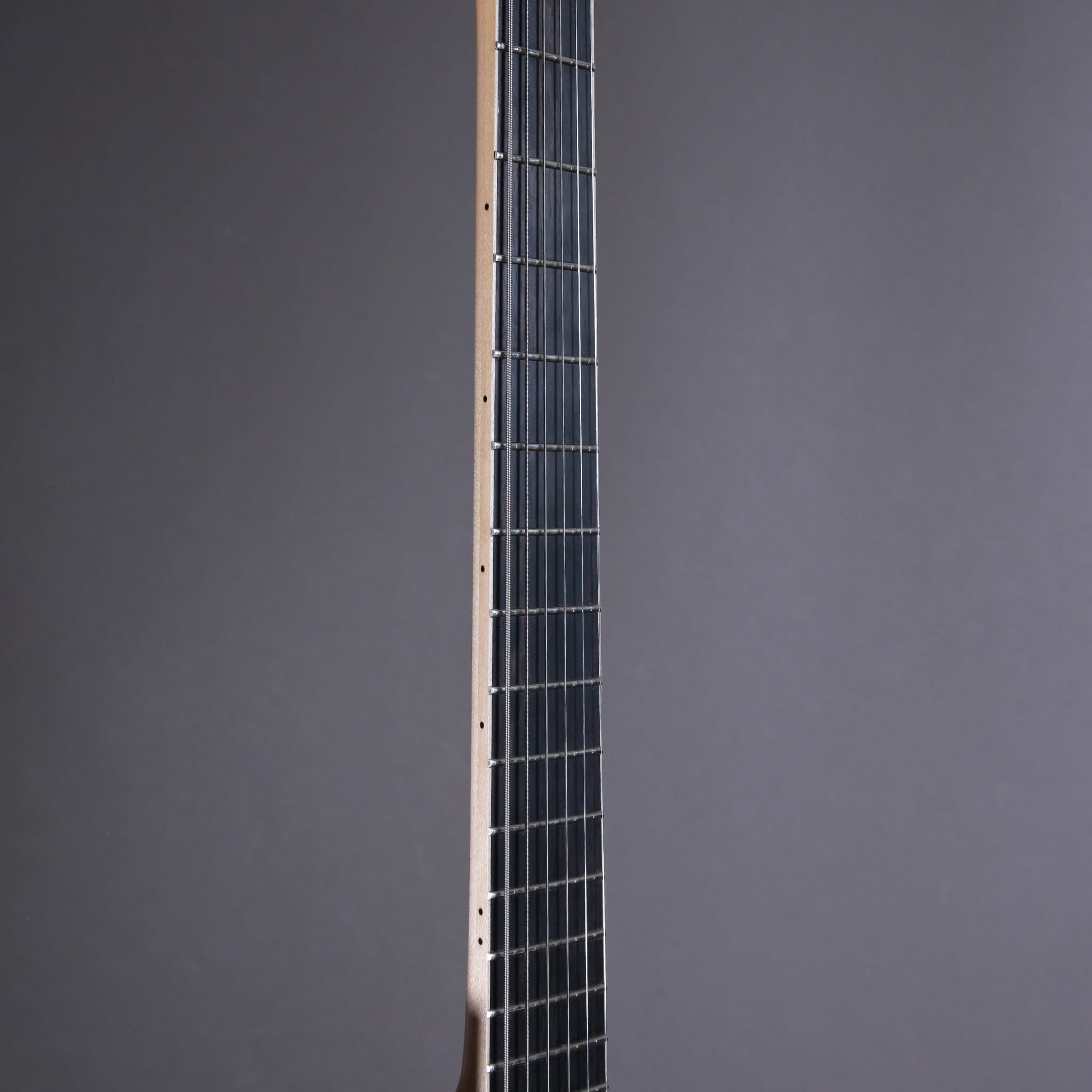 Myr Instruments Elgitarr Myr Instruments Fjällvråken tgt11